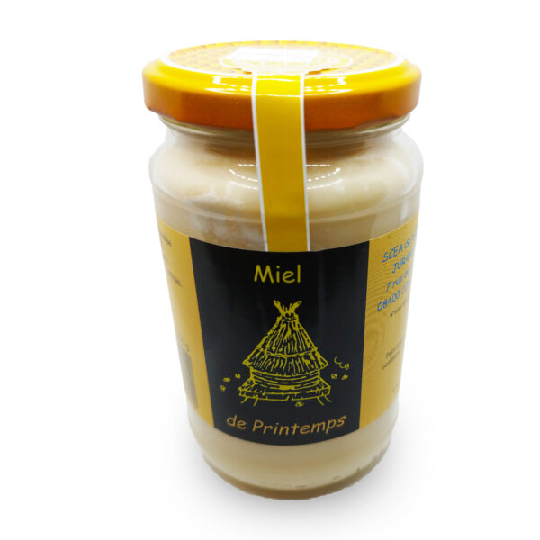 Miel de Printemps 500g